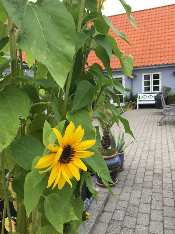 Ebeltoft Centrum Apartman Kültér fotó